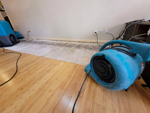 Professional Water Extraction technician working in Davey, NE